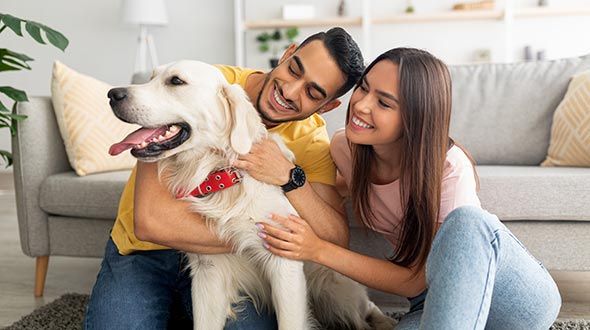 Concerned looking couple standing with their dog
