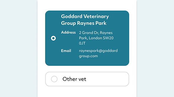 how to make a pet insurance claim vet details