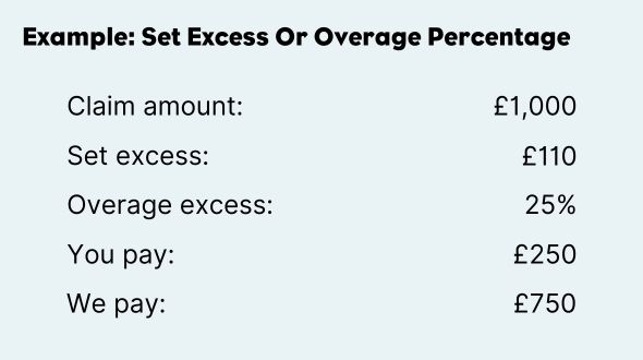 example image of pet insurance set excess or overage percentage excess