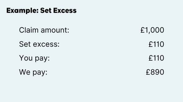 example image of pet insurance set excess