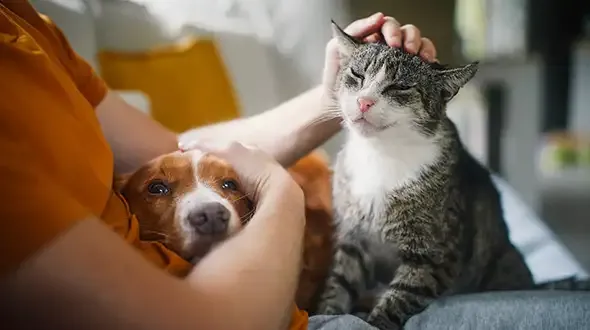 Owner enjoying her pets golden years thanks to Pet Insurance for Older Pets