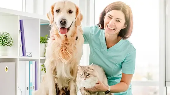 How to claim on pet insurance