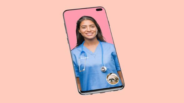 An image of an Everypaw Petcall vet nurse