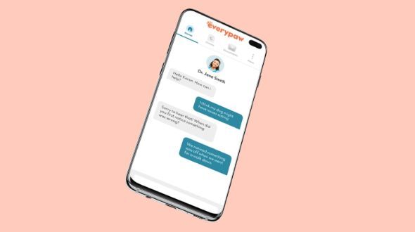 A screenshot of an Everypaw Petcall live chat
