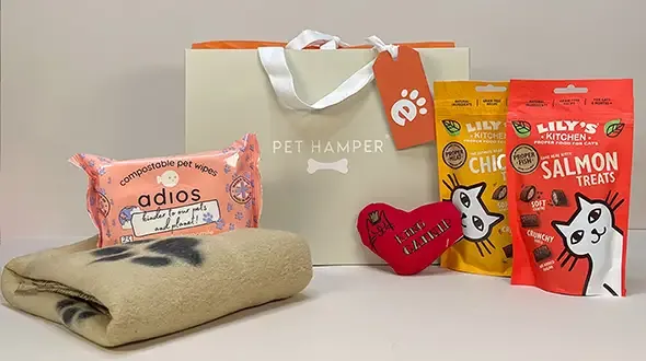 Free pet hamper with everypaw cat insurance policies