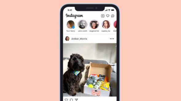 Doggy deals box app