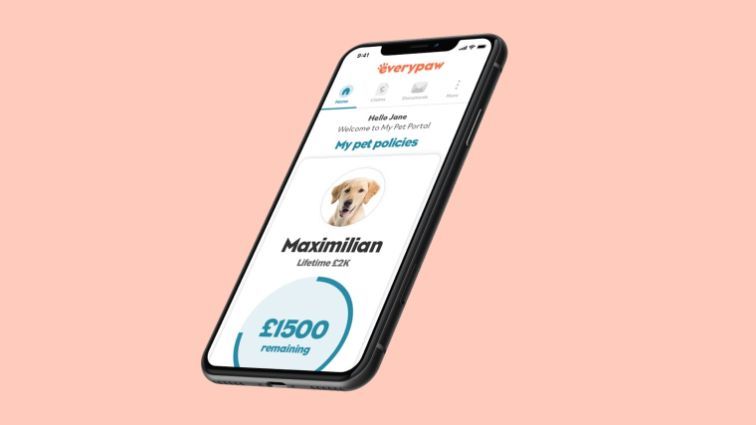 A screenshot of Everypaw's Pet Portal