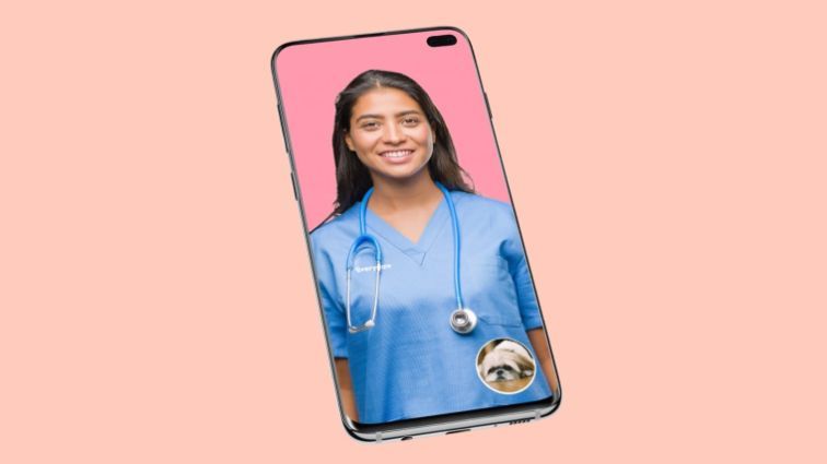 An image of a petcall vet nurse