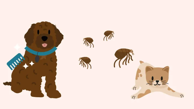 Viovet flea store treatment