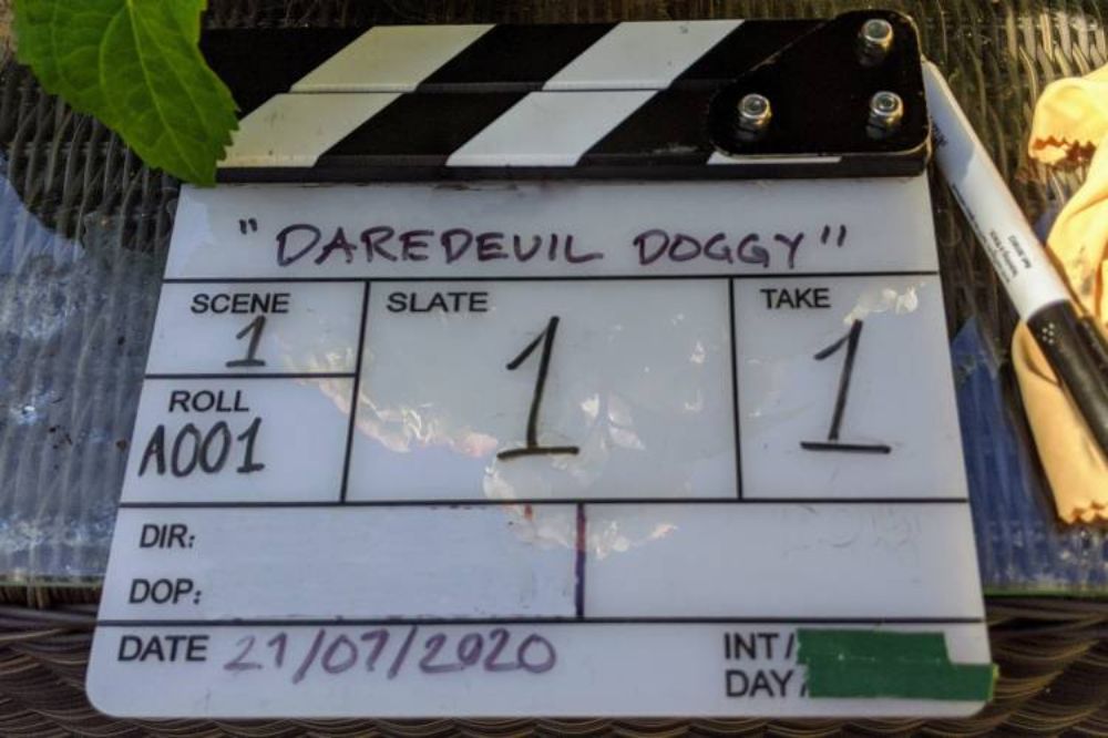 Everypaw Daredevil Doggy TV ad slate card