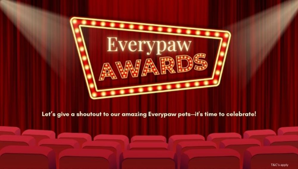 Everypaw Awards graphic poster.