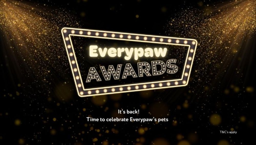 Everypaw Awards graphic poster.