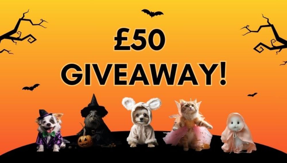 Pets dressed in Halloween costumes with £50 giveaway
