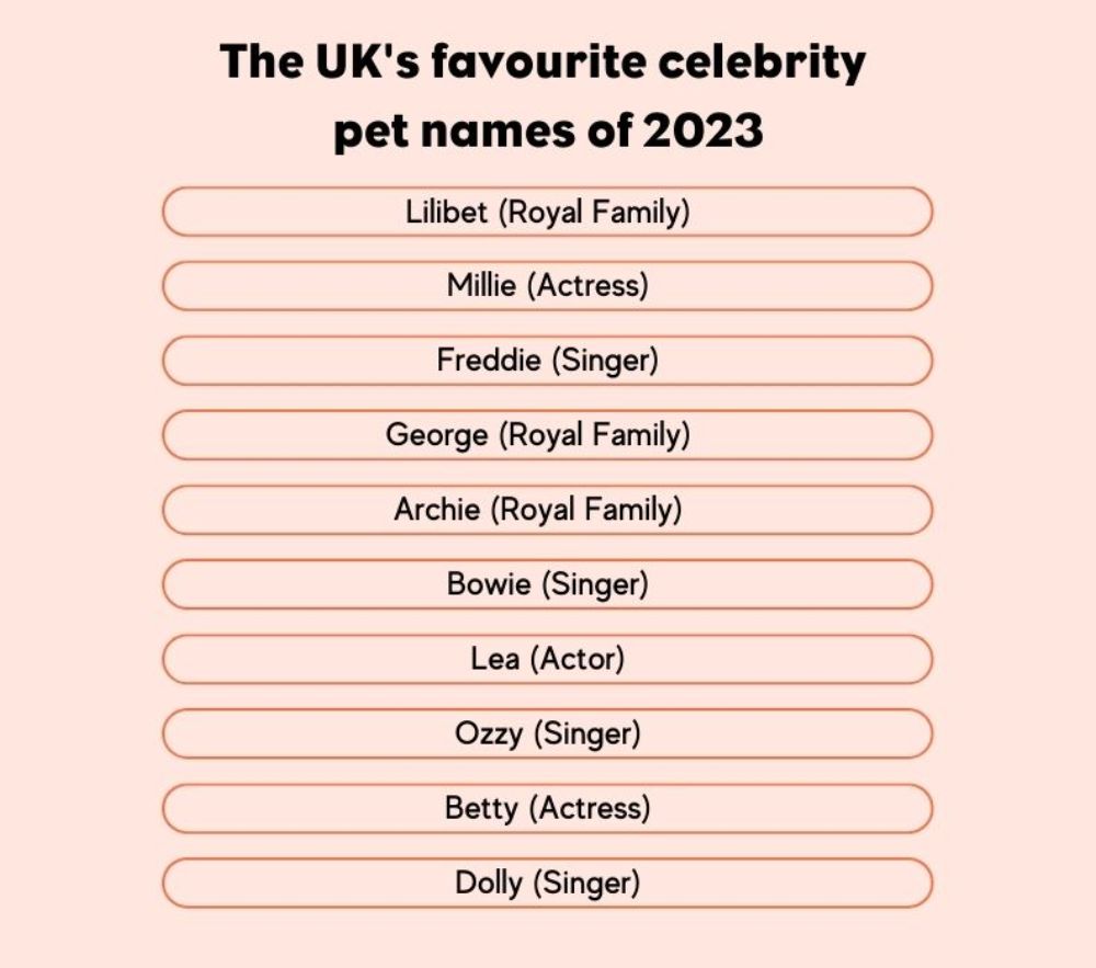 Pet names outlet