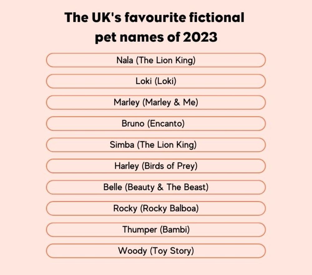 Pet Names Funniest Strangest and Star Studded Everypaw