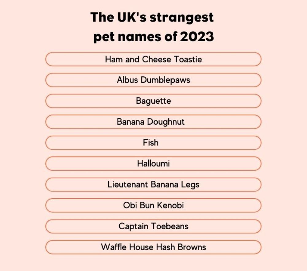 List of strangest pet names in the UK