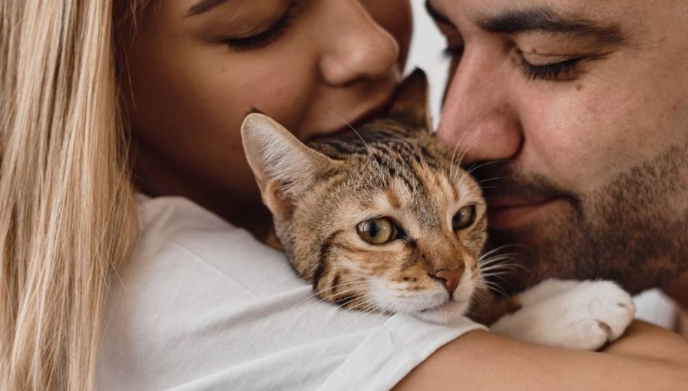 A couple kissing a cat
