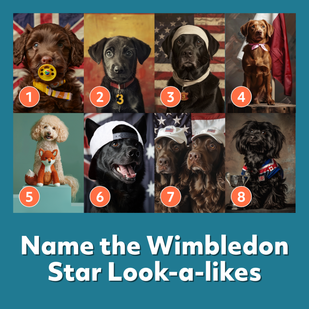 Wimbledon Quiz Images
