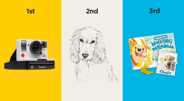 hollywoof competition prizes